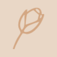 الإكسسوارات